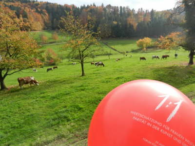 D - auch Khe sind weiblich  2