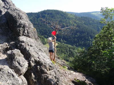 Karlsruher Grad  D 2