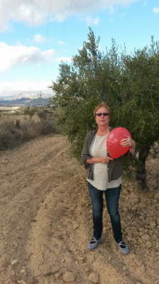 Murcia E, Olivernhain in Suedspanien 31-10-15, Renate Sch